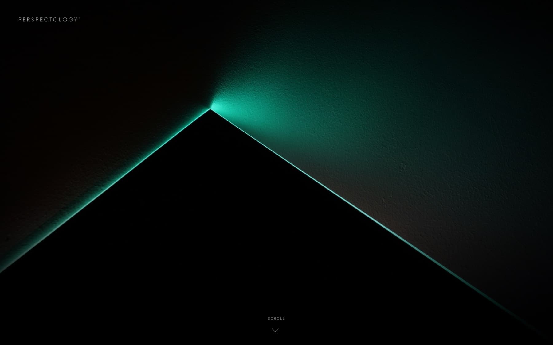 Perspectology – náhled webu